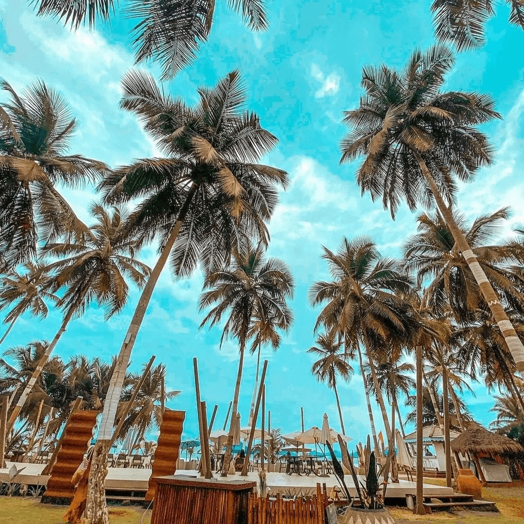 Activité touristique en Côte d'Ivoire